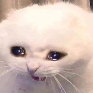 Meet your Posher, Logan